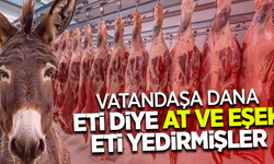 Vatandaşa dana eti diye at eti ve eşek eti yedirmişler