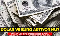 19 Kasım Salı dolar ne kadar oldu, euro ne kadar?