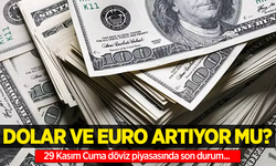 29 Kasım Cuma dolar ne kadar oldu, euro ne kadar?