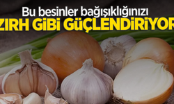 Bu besinler bağışıklığı zırh gibi güçlendiriyor