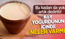 Bu kadarı da yok dedirtti! köy yoğurdunun içinde neler varmış
