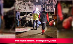 freni boşalan kamyon 7 aracı biçti: 3 ölü, 7 yaralı