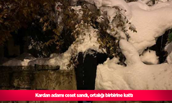 Kardan adamı ceset sandı, ortalığı birbirine kattı