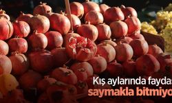 Kış aylarında faydası saymakla bitmiyor
