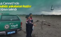 Kuş Cenneti'nde usulsüz yakalanan kuşlar doğaya salındı