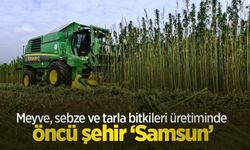 Meyve, sebze ve tarla bitkileri üretiminde öncü şehir ‘Samsun’