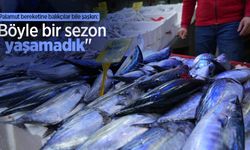 Palamut bereketine balıkçılar bile şaşkın: "Böyle bir sezon yaşamadık"
