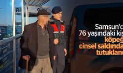 Samsun'da 76 yaşındaki kişi, köpeğe cinsel saldırıdan tutuklandı