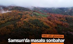 Samsun'da masalsı sonbahar: Tablo gibi görüntüler