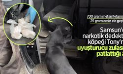 Samsun'da narkotik dedektör köpeği Tony'nin uyuşturucu zulasını patlattığı an