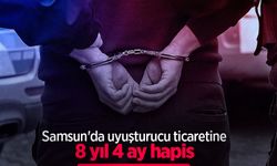 Samsun'da uyuşturucu ticaretine 8 yıl 4 ay hapis