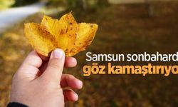 Samsun sonbaharda göz kamaştırıyor