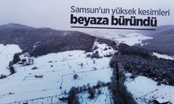 Samsun'un yüksek kesimleri beyaza büründü
