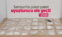 Samsun’da paket paket uyuşturucu ele geçti: 1 gözaltı