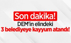 Son dakika! DEM'in elindeki 3 belediyeye kayyum atandı!