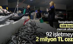 Tezgahlardaki balık boyları mercek altında: 92 işletmeye 2 milyon TL ceza