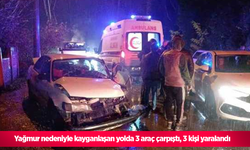 Yağmur nedeniyle kayganlaşan yolda 3 araç çarpıştı, 3 kişi yaralandı