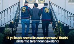 17 yıl hapis cezası ile aranan cezaevi firarisi jandarma tarafından yakalandı