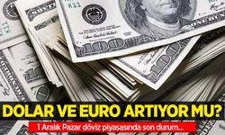 1 Aralık Pazar dolar ne kadar oldu, euro ne kadar?