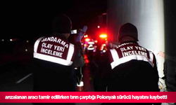 arızalanan aracı tamir edilirken tırın çarptığı Polonyalı sürücü hayatını kaybetti