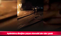 aydınlatma direğine çarpan otomobil alev alev yandı