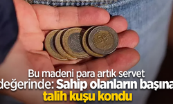 Bu madeni para artık servet değerinde: sahip olanların başına talih kuşu kondu