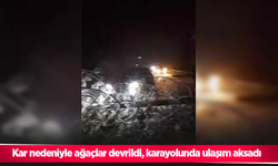 Kar nedeniyle ağaçlar devrildi, karayolunda ulaşım aksadı