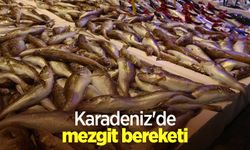 Karadeniz'de mezgit bereketi