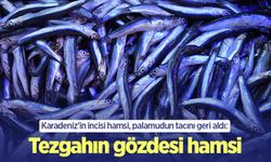 Karadeniz'in incisi hamsi, palamudun tacını geri aldı: Tezgahın gözdesi hamsi