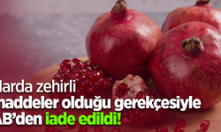 Narda zehirli maddeler olduğu gerekçesiyle AB’den iade edildi!