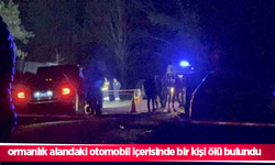 ormanlık alandaki otomobil içerisinde bir kişi ölü bulundu