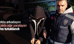 Parkta arkadaşını bıçakla ağır yaralayan şahıs tutuklandı