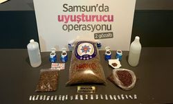 Samsun'da uyuşturucu operasyonu: 2 gözaltı