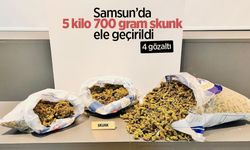 Samsun’da 5 kilo 700 gram skunk ele geçirildi: 4 gözaltı