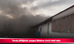 Tavuk çiftliğinde yangın: Binlerce civciv telef oldu