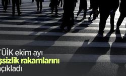 TÜİK ekim ayı işsizlik rakamlarını açıkladı