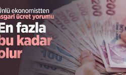 Ünlü ekonomistten asgari ücret yorumu: En fazla bu kadar olur