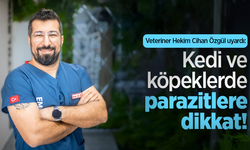 Veteriner Cihan Özgül uyardı: Kedi ve köpeklerde parazitlere dikkat!