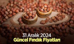 31 Aralık 2024 Güncel Fındık Fiyatları