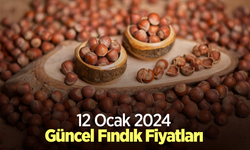 12 Ocak 2025 Güncel Fındık Fiyatları