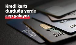 Kredi kartı durduğu yerde cep yakıyor