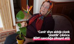 'Canlı' diye aldığı çiçek ‘plastik' çıkınca BİM'i savcılığa şikayet etti