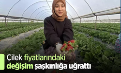 Çilek fiyatlarındaki değişim şaşkınlığa uğrattı