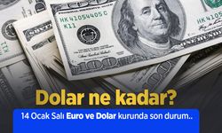 Dolar ne kadar? 14 Ocak Salı Euro ve Dolar kurunda son durum