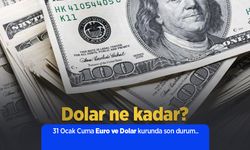 31 Ocak Cuma Euro ve Dolar kurunda son durum