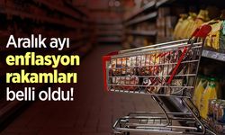 Aralık ayı enflasyon rakamları belli oldu!