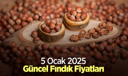 5 Ocak 2025 Güncel Fındık Fiyatları