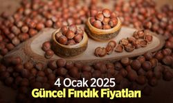 4 Ocak 2025 Güncel Fındık Fiyatları