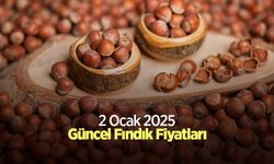 13 Ocak 2025 Güncel Fındık Fiyatları