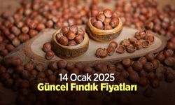 14 Ocak 2025 Güncel Fındık Fiyatları